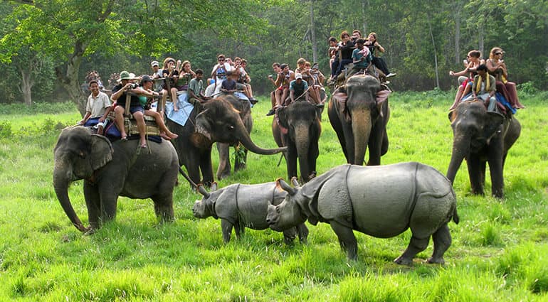Jungle Safari | Nepal View Treks